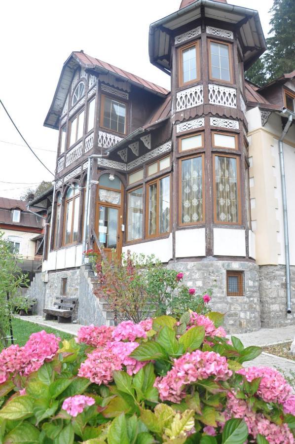 Vila Bradet Буштени Экстерьер фото