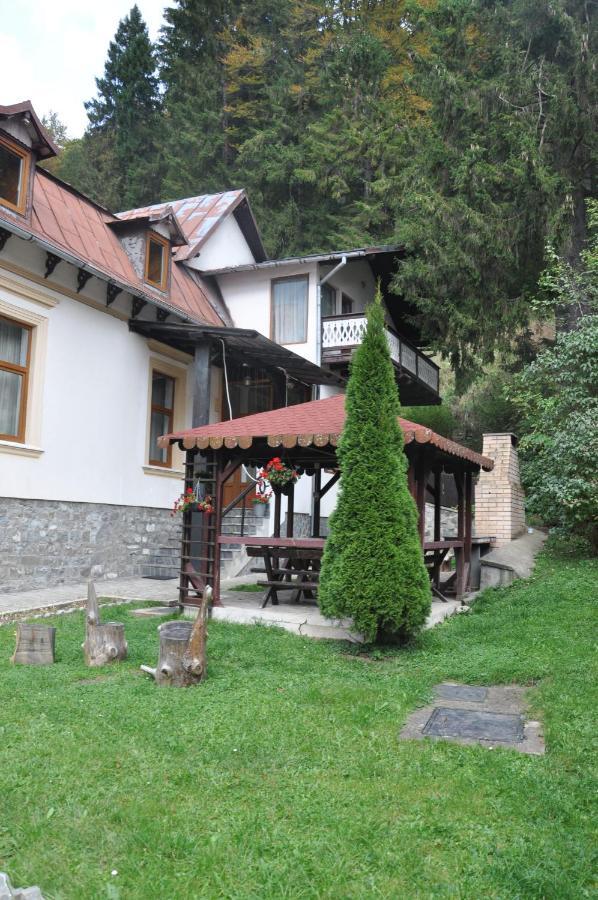 Vila Bradet Буштени Экстерьер фото