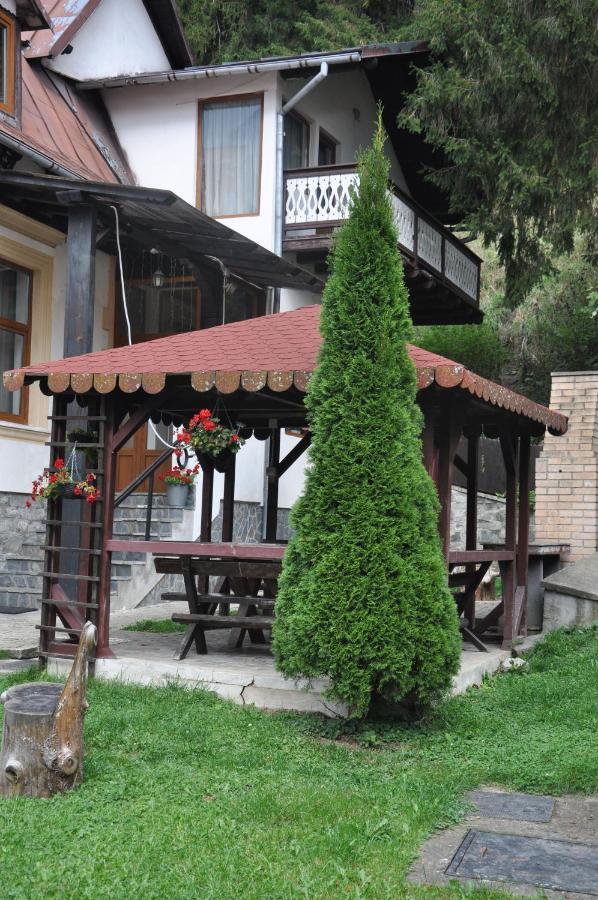 Vila Bradet Буштени Экстерьер фото