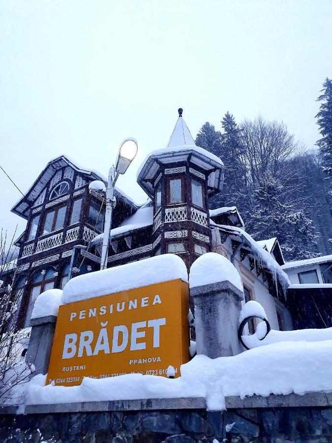 Vila Bradet Буштени Экстерьер фото