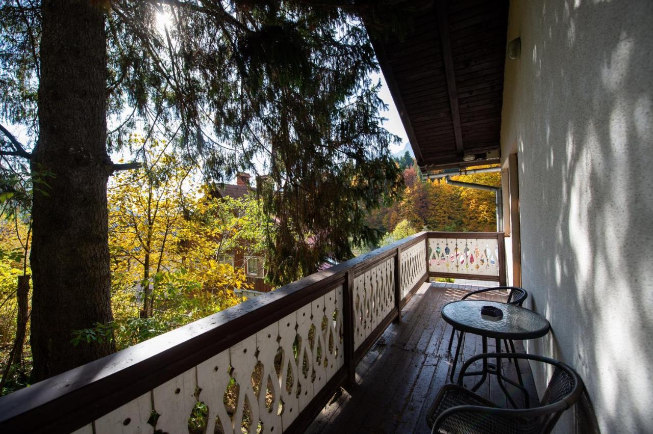 Vila Bradet Буштени Экстерьер фото