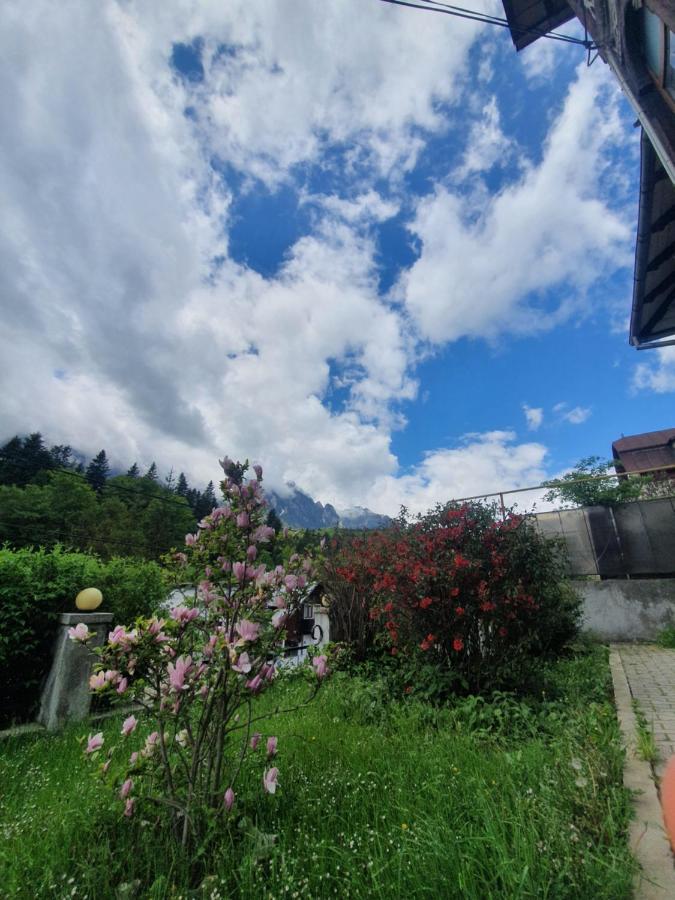 Vila Bradet Буштени Экстерьер фото